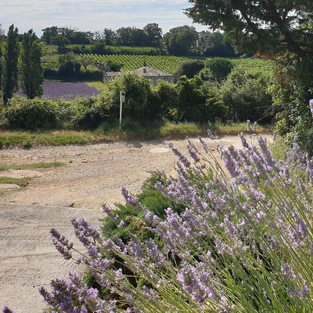 Le Clos Du Grand Chene - Gites 4 Etoiles - Saint-Marcel-d'Ardeche Luaran gambar