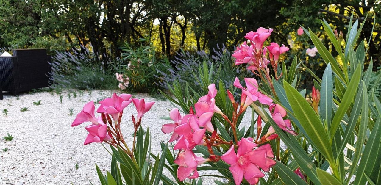 Le Clos Du Grand Chene - Gites 4 Etoiles - Saint-Marcel-d'Ardeche Luaran gambar